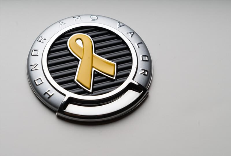 Chrome emblem logo